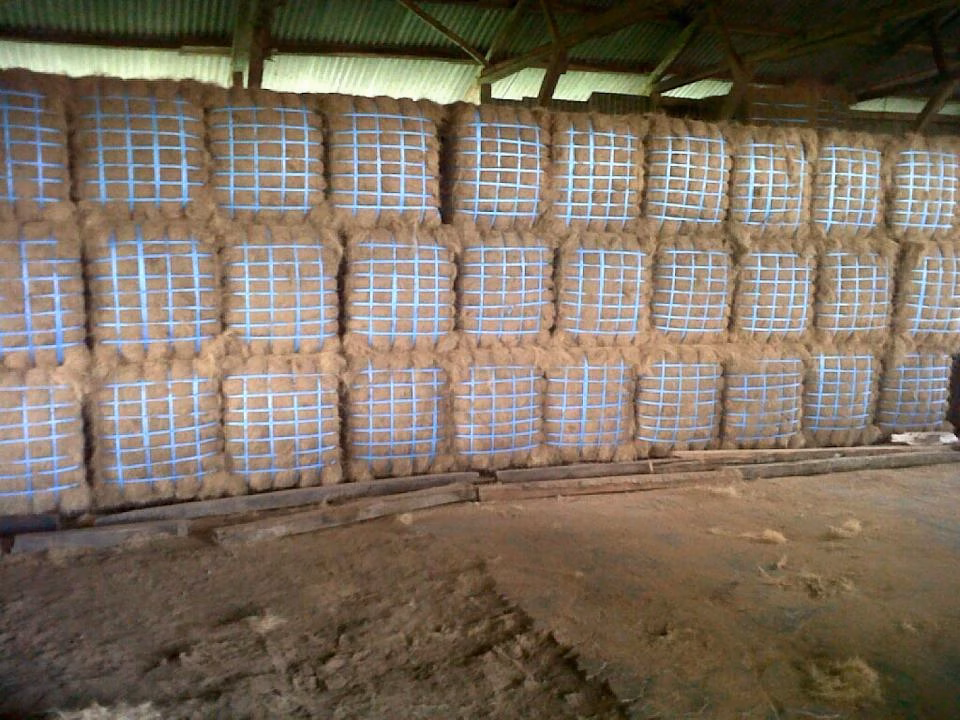 coconut fiber coco peat indonesia supplier