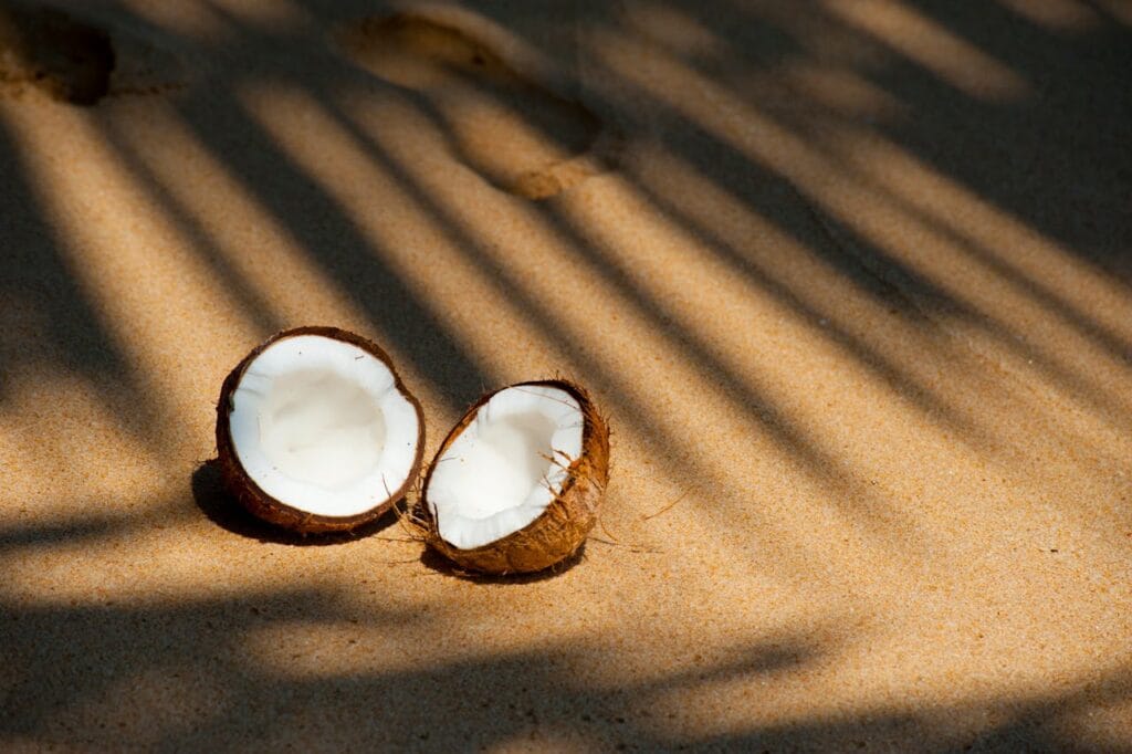 Coconut halves resting on a sunlit sandy beach, casting shadows from palm fronds.